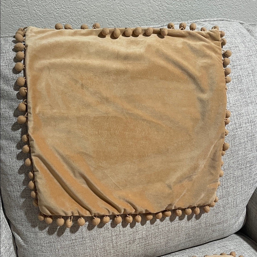 Cozy Tan Pom-Pom Pillow (2)
